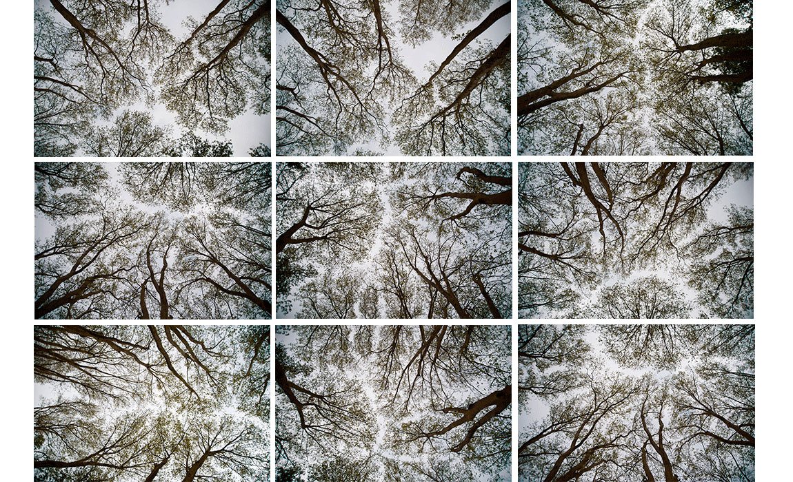 Entre o Céu e a Terra 13.jpg