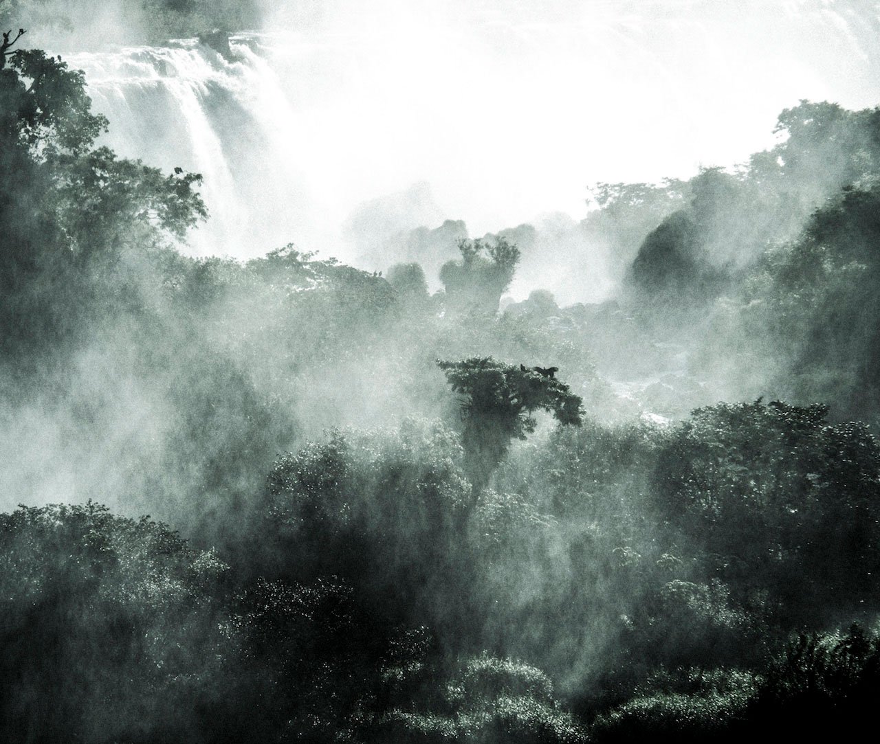 Paisagens Interrompidas 2.jpg