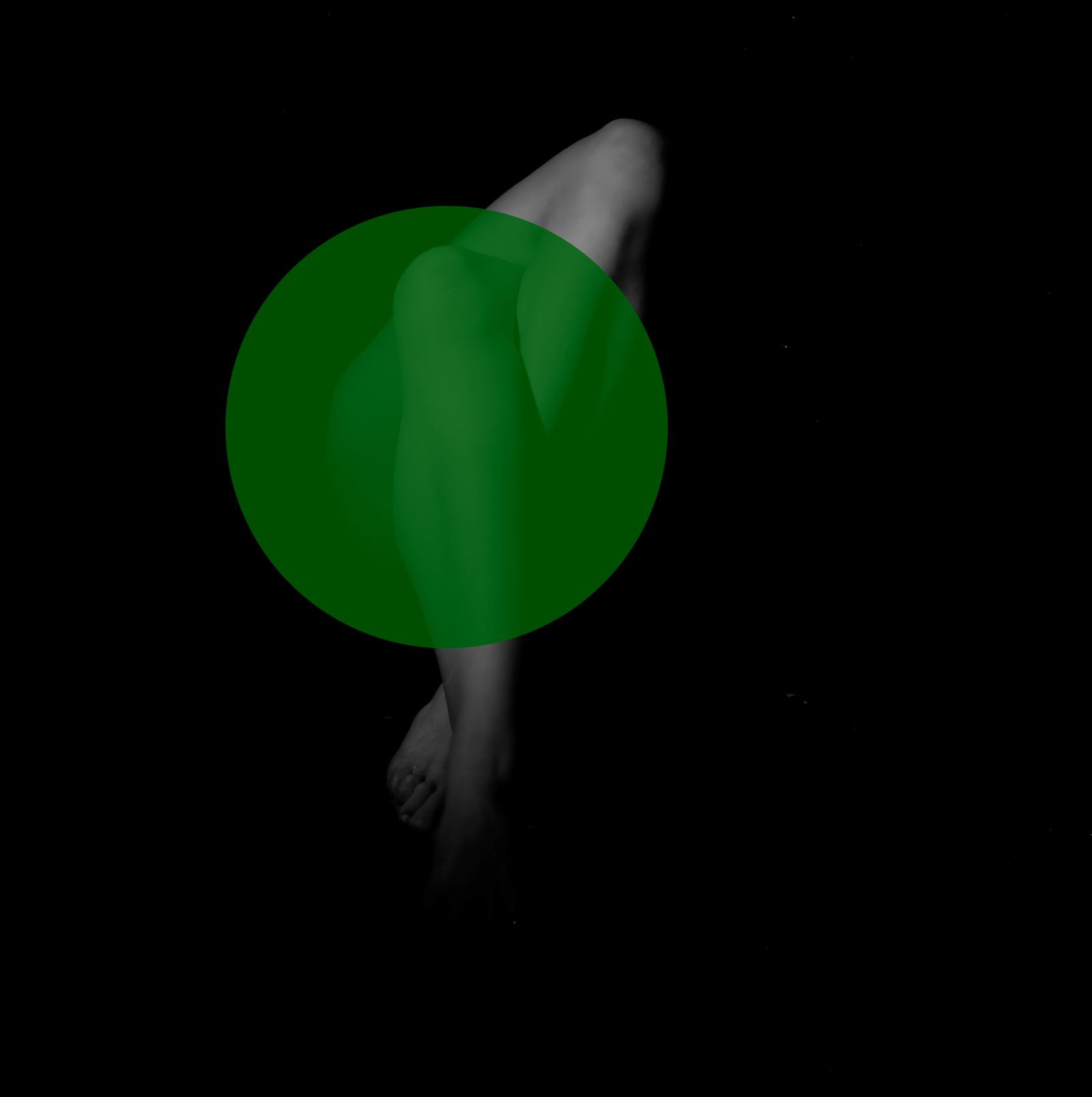 Transposition alvo.jpg